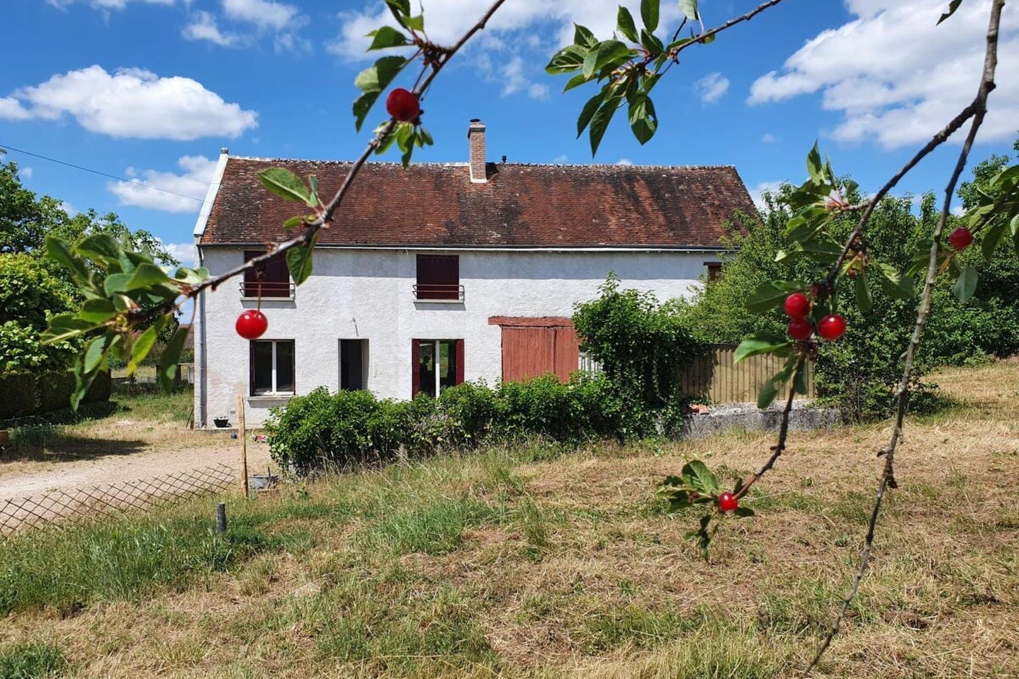 Bel Air Frais Proche Beauval & Chateaux De La Loire Thésée エクステリア 写真